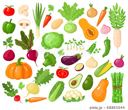 Cartoon Vegetables. Vegan Veggies Food, Tomato,...のイラスト素材 [68863044] - Pixta