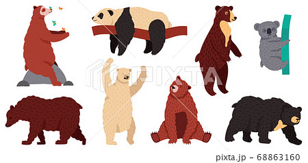 Bears Species Wild Mammal Characters Furry のイラスト素材