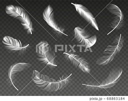 White realistic feather. Fluffy angel twirled feathers, 3d bird feather, swan or dove wings plumage isolated vector illustration icons set 68863184