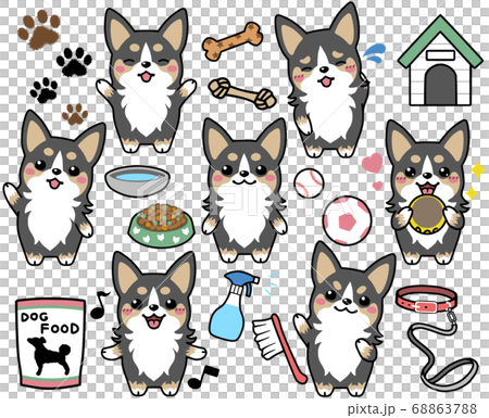 三色柯基犬圖片表情集合 三色柯基犬圖片表情集合 68863788