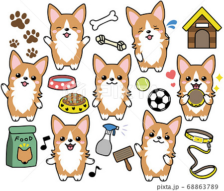 コーギーの表情集 68863789