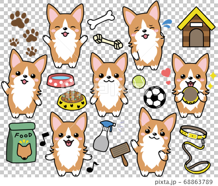 コーギーの表情集 68863789