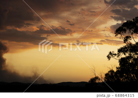 Gum Trees and clouds in bush fire smoke at sunset in The Blue Mountains in Australia 68864315