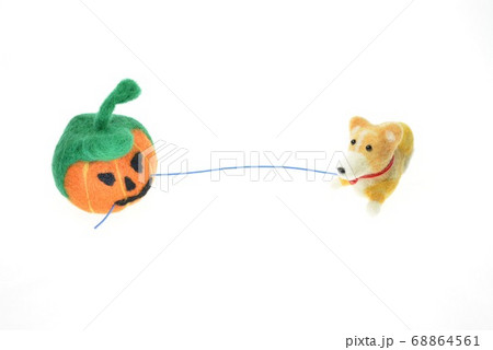 犬を引っ張るジャックオーランタン 犬を引っ張るジャックオーランタン 68864561