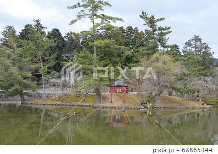 東大寺の「鏡池」（奈良県奈良市雑司町） 68865044