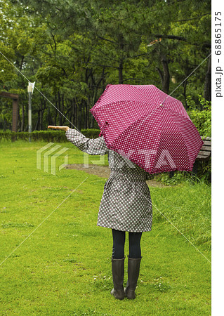 傘 公園 夏 68865175