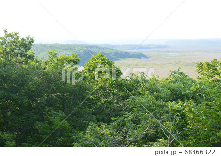 釧路湿原（釧路湿原展望台／北海道釧路市北斗） 68866322