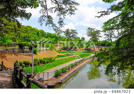 花菖蒲が咲き始めた岡崎東公園 68867023