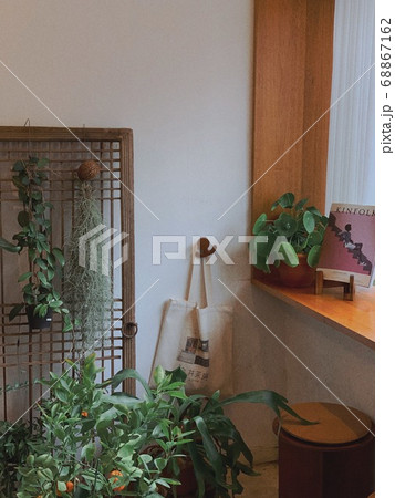 椅子 いす 植物 68867162