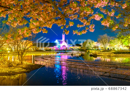 なばなの里、春のイルミネーション 68867342