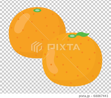2つのみかん 2つのみかん 68867441