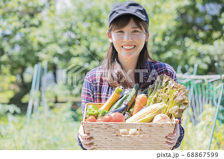 野菜を収穫する若い女性 野菜を収穫する若い女性 68867599