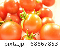 採れたて　トマト 68867853