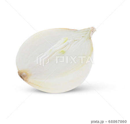 white onion on white background. 68867860