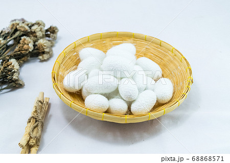 white silk cocoon white silk cocoon 68868571