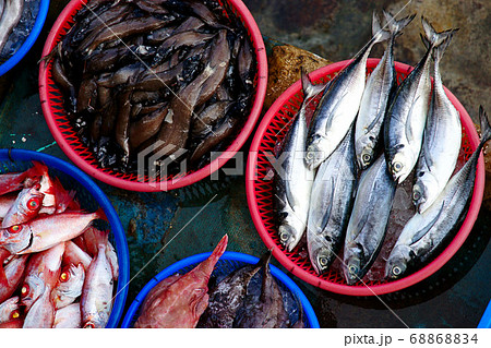 市場 マーケット 市 68868834