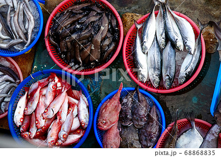 市場 マーケット 市 68868835