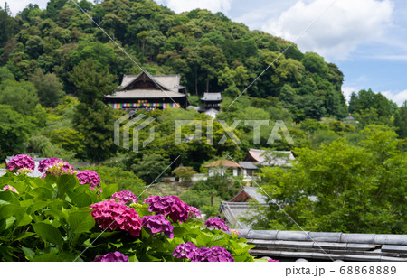 アジサイの寺 アジサイの寺 68868889