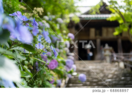 アジサイの寺 68868897