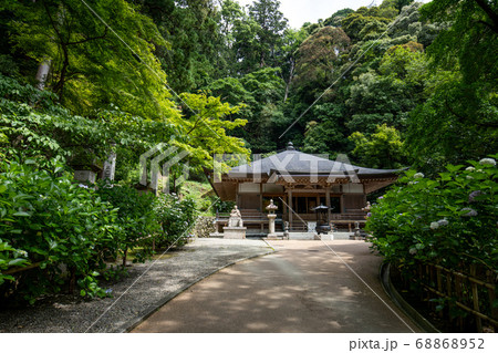 アジサイの寺 アジサイの寺 68868952