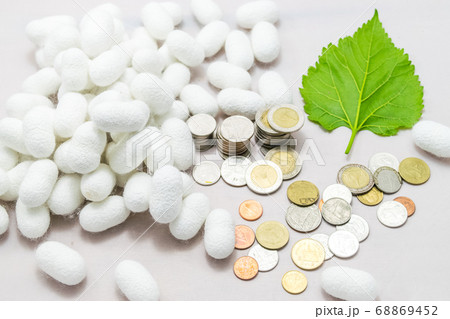 white silk cocoon white silk cocoon 68869452