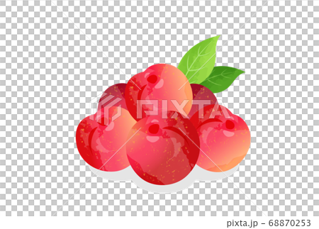 すもも 68870253