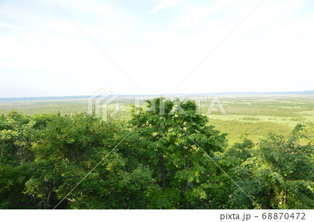 釧路湿原（釧路湿原展望台／北海道釧路市北斗） 68870472