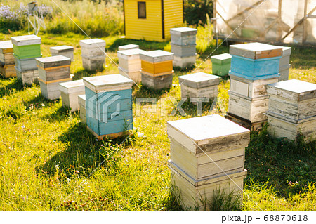 Wooden bee hives on apiary on sunny summer day on green grass meadow. Wooden bee hives on apiary on sunny summer day on green grass meadow. 68870618