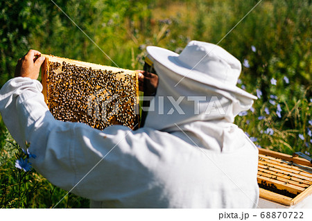 Apiarist in protective workwear and gloves is taking out the honeycomb on wooden frame 68870722