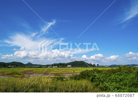 風景 生態公園 始興市 68872087
