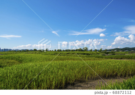 風景 生態公園 始興市 68872112