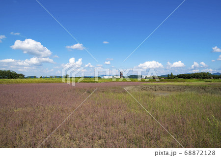 風景 生態公園 始興市 68872128