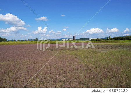風景 生態公園 始興市 68872129
