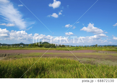 風景 生態公園 始興市 68872130