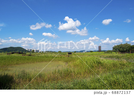 風景 生態公園 始興市 68872137