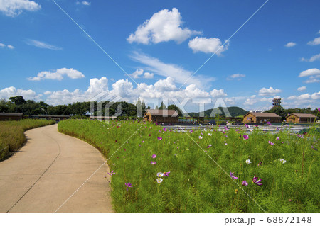 風景 生態公園 始興市 68872148