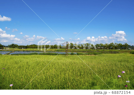 風景 生態公園 始興市 68872154