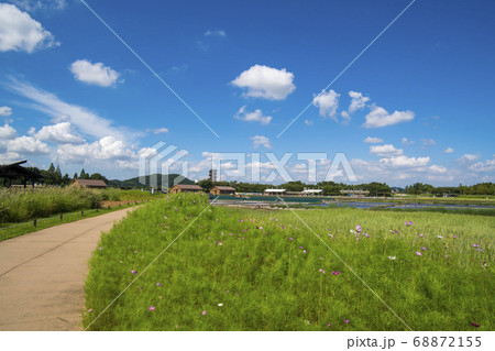 風景 生態公園 始興市 68872155