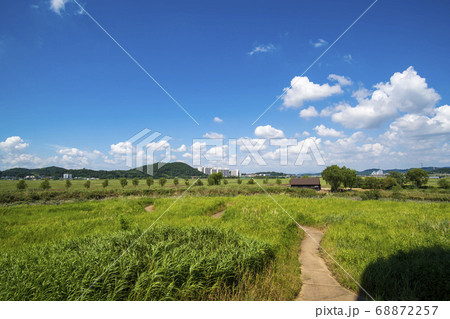 風景 生態公園 始興市 68872257