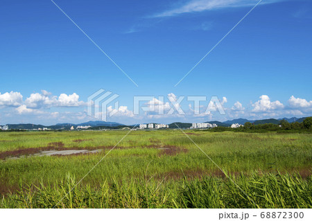 風景 生態公園 始興市 68872300