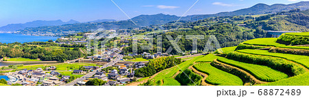 新緑の江ノ串の棚田 パノラマ 【長崎県東彼杵郡】 新緑の江ノ串の棚田 パノラマ 【長崎県東彼杵郡】 68872489