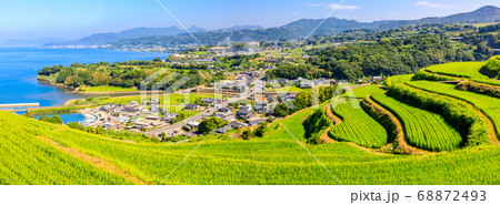 新緑の江ノ串の棚田 パノラマ 【長崎県東彼杵郡】 新緑の江ノ串の棚田 パノラマ 【長崎県東彼杵郡】 68872493
