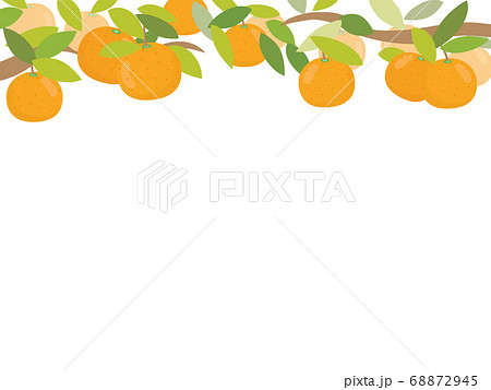 みかんのフレーム　上 68872945