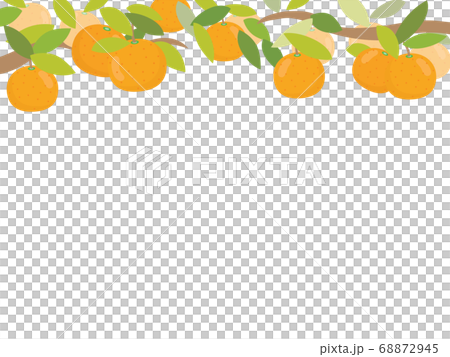 みかんのフレーム　上 68872945