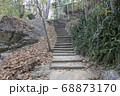 Walkway stone path in forest  by vegetation 68873170