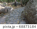 Walkway stone path in forest  by vegetation 68873184