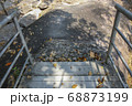 Walkway stone path in forest  by vegetation 68873199