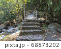Walkway stone path in forest  by vegetation 68873202