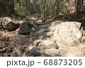 Walkway stone path in forest  by vegetation 68873205
