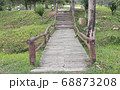 Walkway stone path in forest  by vegetation 68873208